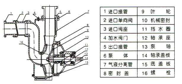 ZW型自吸式無堵塞排污泵（結(jié)構(gòu)圖）